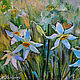 'Andorra. Daffodils in the Pyrenees' - oil painting on canvas, Pictures, Voronezh,  Фото №1