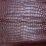 Материалы для творчества handmade. Livemaster - original item Crocodile leather, Burgundy color, for sewing shoes and bags.. Handmade.