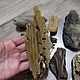 Заказать Дрифтвуд. Виктория (priroda-s-lyubovyu). Ярмарка Мастеров. . Природные материалы Фото №3