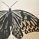Картина:Бабочка Чжуан - цзы. Картины. Honfleur ( Ирина Де Сен Леже ). Ярмарка Мастеров.  Фото №4
