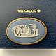Винтаж: Брошь Wedgwood. Броши винтажные. Анночка. Ярмарка Мастеров.  Фото №6