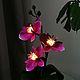 Luz de noche de orquídeas ' Violet', Nightlights, Surgut,  Фото №1