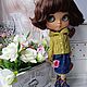 Мастер-класс свитер с капюшоном для Блайз. Одежда для кукол. Ксения (happycrochet). Ярмарка Мастеров.  Фото №5