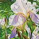 the painting 'Irises'. Pictures. Zhaldak Eduard paintings. Online shopping on My Livemaster.  Фото №2