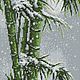 Схема для вышивки: Заснеженный бамбук. Схема вышивки крестом, Схемы для вышивки, Вологда,  Фото №1