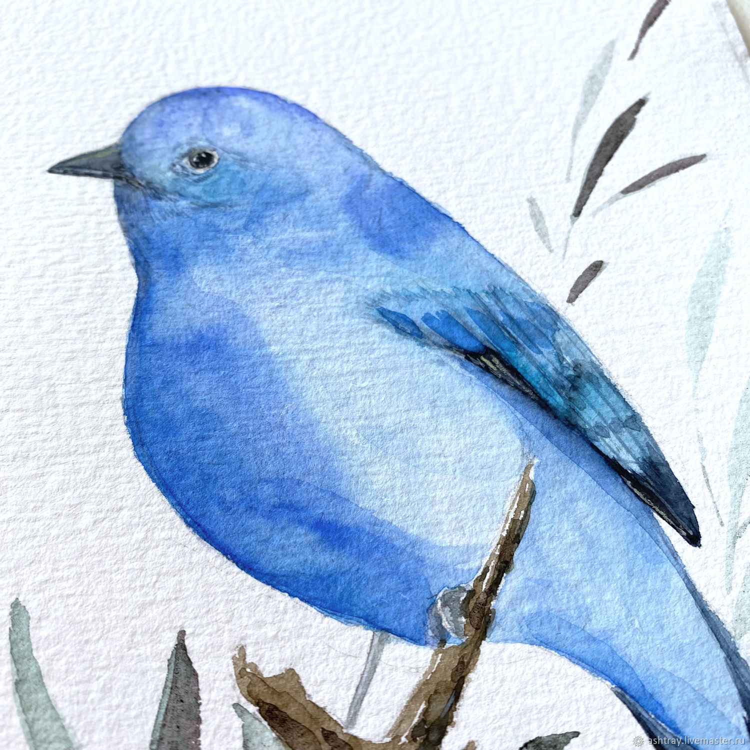 Как нарисовать синюю птицу