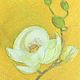Order Oil pastel painting with a white magnolia flower 'Southern' 297h420 mm. chuvstvo-pozitiva (chuvstvo-pozitiva). Livemaster. . Pictures Фото №3