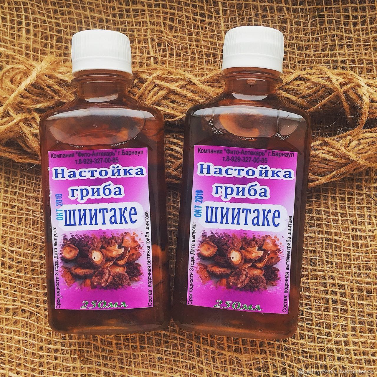 Грибы шиитаке в капсулах. Шиитаке грибы азии. Грибы для лекарственных препаратов. Шиитаке, таблетки 60 шт. В масле плюс.