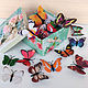 Large set of butterflies, Interior elements, St. Petersburg,  Фото №1