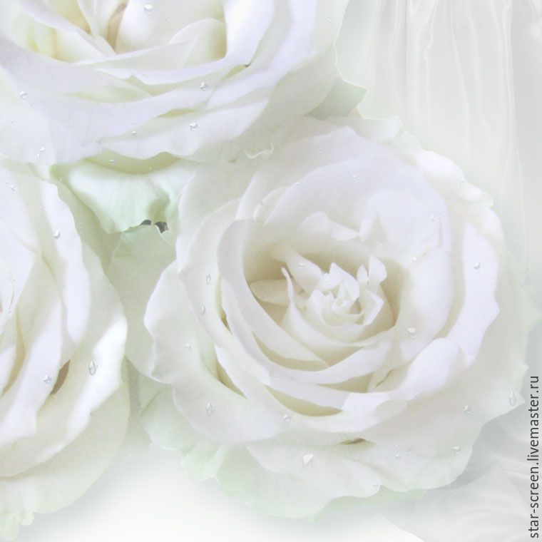 Белые розы картина купить в интернет-магазине Ярмарка Мастеров по цене 300 ₽ – 8E6J9RU