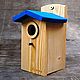 Birdhouse handmade for birds ' Sea', Bird feeders, Moscow,  Фото №1