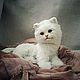 Teddy Animals: white kitten. Teddy Toys. Teddybeasts. My Livemaster. Фото №5
