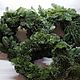 Венок новогодний Д 40 см Живая хвоя Нобилис.Новогодний декор. Елки. DARK FLORIST Флористика Декор ЦВЕТЫ. Интернет-магазин Ярмарка Мастеров.  Фото №2