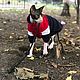 Clothing for cats 'Fleece jacket - Blue with red, white'. Pet clothes. Happy-sphynx. Online shopping on My Livemaster.  Фото №2
