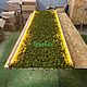 Стена из стабилизированного мха 260*80см. Панно. Green.Box. Ярмарка Мастеров.  Фото №6