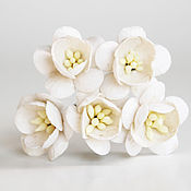 Материалы для творчества handmade. Livemaster - original item Paper flowers for scrapbooking Cherry blossoms white, 1pc.. Handmade.