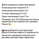 Оформление искусственными цветами АРЕНДА/ПРОДАЖА. Оформление зала. Невянущие цветы. Ярмарка Мастеров.  Фото №14