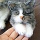 Вязаный котик. Амигуруми куклы и игрушки. Дарья (kirakinder). Ярмарка Мастеров.  Фото №4