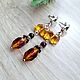 Order Amber. Earrings 'Gifts are not superfluous' amber silver. Frollena II. Natural Baltic amber. Livemaster. . Earrings Фото №3