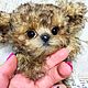 Maltipoo (18 см тедди щенок), Тедди Зверята, Среднеуральск,  Фото №1