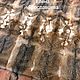 Заказать Ковер, плед из шикарного меха русского волка, выделка  2024/25 год. Елена Ярославцева. Ярмарка Мастеров. . Ковры для дома Фото №3