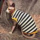 Clothing for cats ' t-shirt-Striped charm', Pet clothes, Biisk,  Фото №1