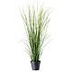 Grass stabilized. Design. Антонина Литовкина - Озеленение (Планета Флористики). Online shopping on My Livemaster.  Фото №2