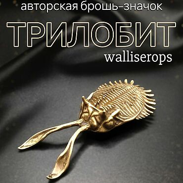 Украшения ручной работы. Ярмарка Мастеров - ручная работа Брошь-значок Трилобит Walliserops Д-017. Handmade.
