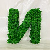 Дизайн и реклама handmade. Livemaster - original item A letter made of stabilized moss. Handmade.