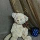  Котик Пушок. Тедди Зверята. Ручные мишки Тедди (tamedteddybears). Ярмарка Мастеров.  Фото №14