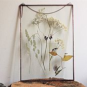 Для дома и интерьера handmade. Livemaster - original item the herbarium in the glass. Herbarium of herbs. Wildflowers. Handmade.