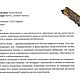 Эгирин. Кристалл. DenSi-2 (Денис Симиохин). Ярмарка Мастеров.  Фото №6