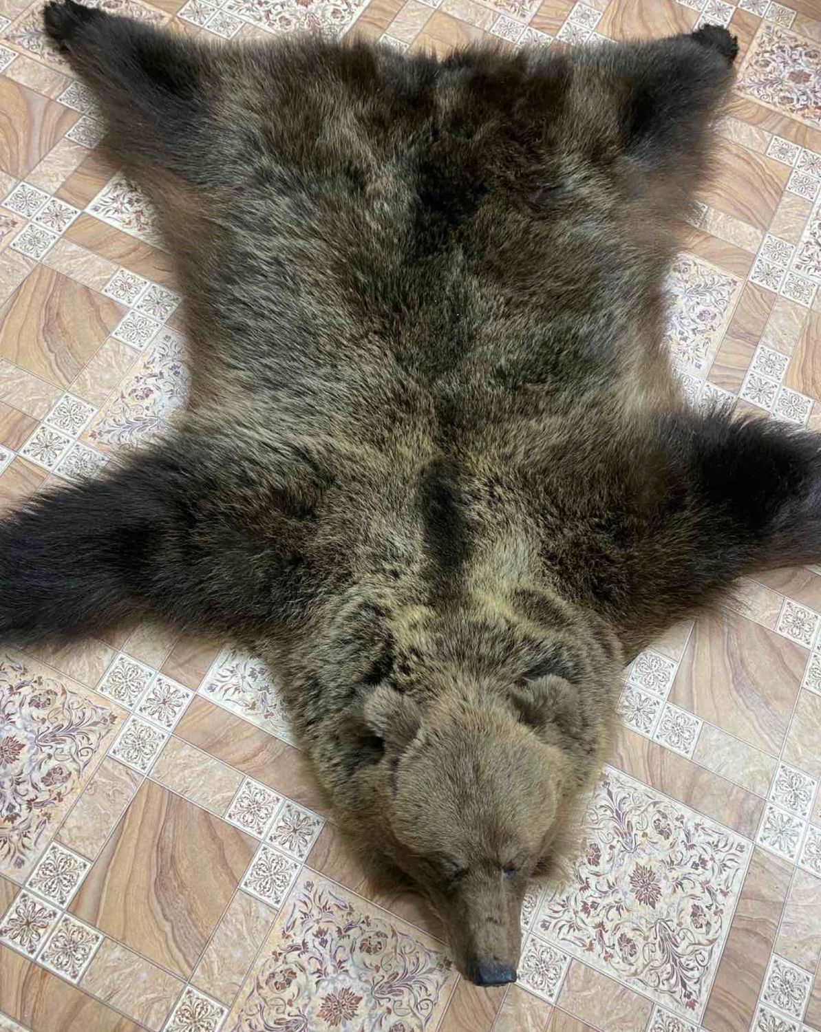 Купить Шкуру Белого Медведя Цена