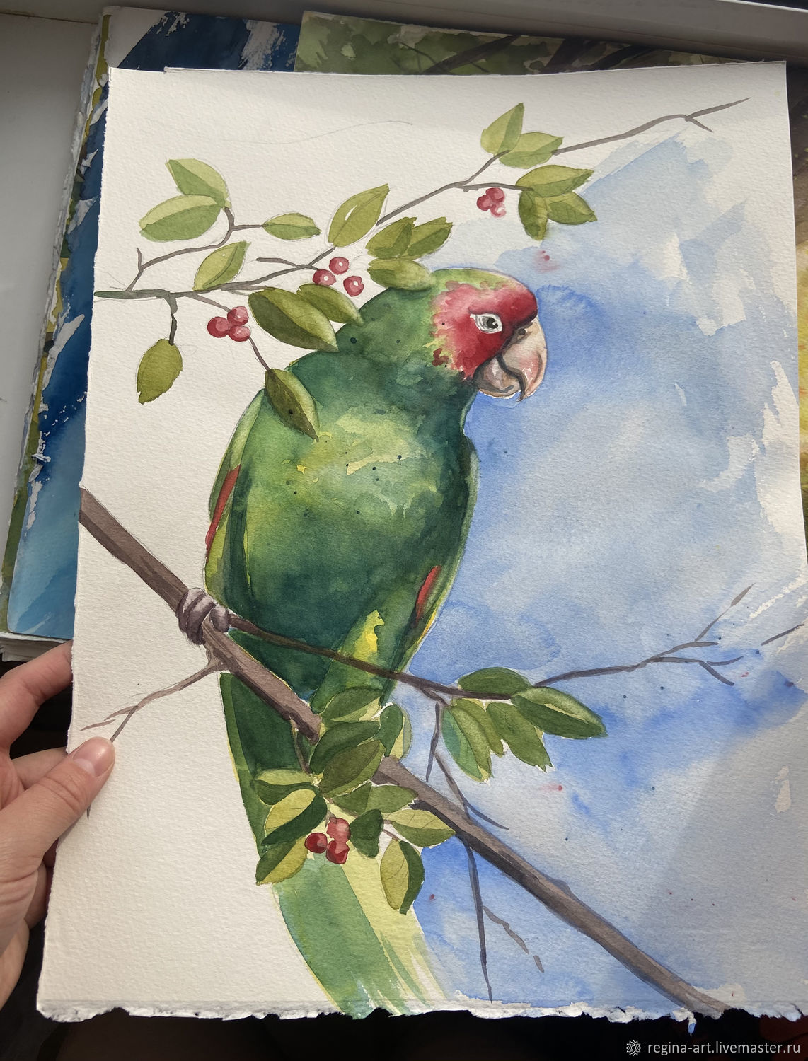 Watercolor painting Parrot, Pictures, Kemerovo,  Фото №1