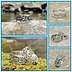 Rings Oberezhnye with stones, Folk decorations, Sochi,  Фото №1