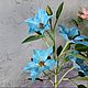 Клематис из полимерной глины. Цветы. Svetlana. Ярмарка Мастеров.  Фото №4
