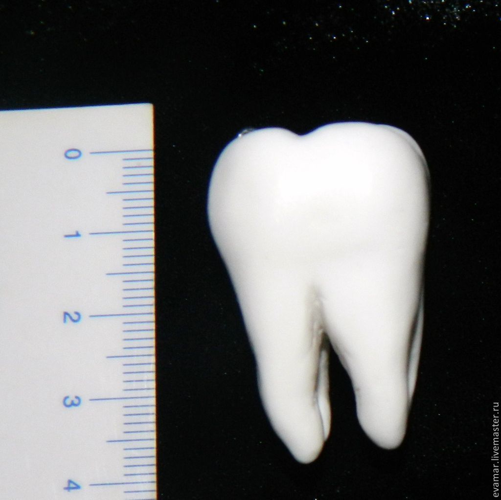 зубки из полимерной глины
