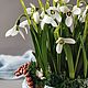 Подснежники из полимерной глины (холодный фарфор). Композиции. Lovely flower. Ярмарка Мастеров.  Фото №7