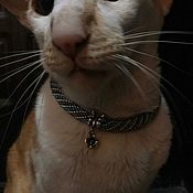 Collar for cats 