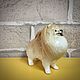 Pomeranian Spitz: author's statuette. Figurines. Creative workshop Cheerful porcelain. My Livemaster. Фото №4