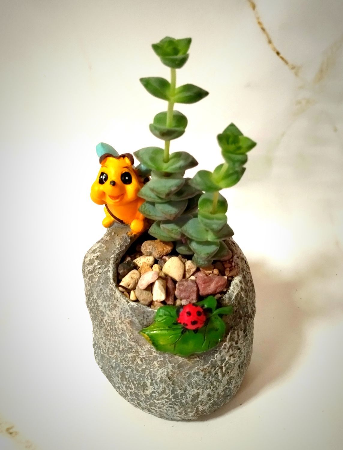 Суккуленты в кашпо Пчелка в интернет-магазине на Ярмарке Мастеров ...