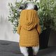 Коты в худи. Амигуруми куклы и игрушки. М.Оль с крючком. Ярмарка Мастеров.  Фото №5