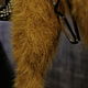 The bomber jacket ( the color of mustard ). Bombers. LUXURIOUS ANGORA. My Livemaster. Фото №6
