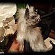 Серая летучая мышь вампир подвижная скульптура, Интерьерная кукла, Камешково,  Фото №1