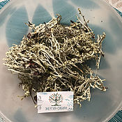 Материалы для творчества handmade. Livemaster - original item Icelandic moss (Parmelia islándica) Parmelia from 30 g.. Handmade.