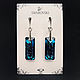 Order Silver Earrings / set with Swarovski_Svarovski crystals. SeLena with Swarovski. Livemaster. . Earrings Фото №3