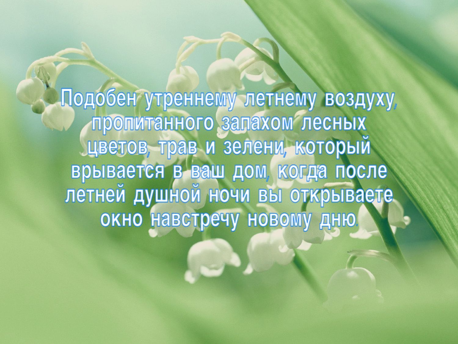 Здесь и прозрачное небо и хрустально чистый воздух и свежая зелень придают картине запятые