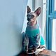 Одежда для кошек  Кофта "Единорог". Одежда для питомцев. Happy-Sphynx. Интернет-магазин Ярмарка Мастеров.  Фото №2