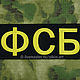 dorsal stripe FSB (froze). Patches. Beloretskie Patches. Online shopping on My Livemaster.  Фото №2