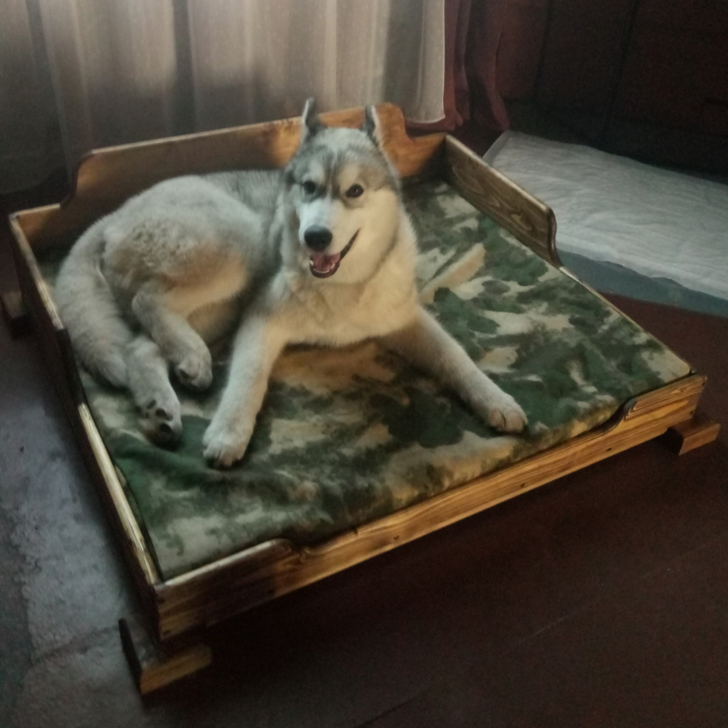 Мой профиль